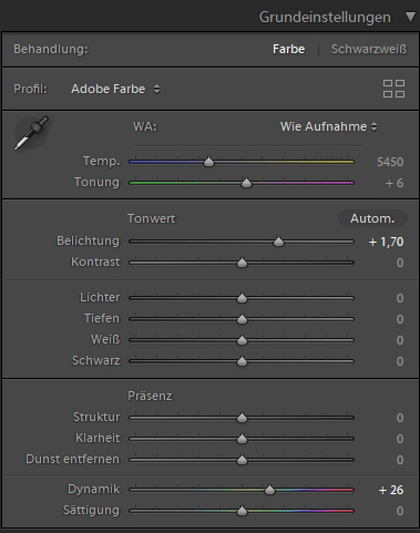 Grundeinstellungen Lightroom