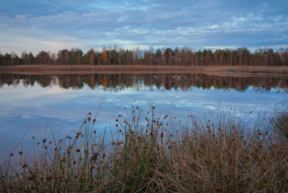 Restloch Heide