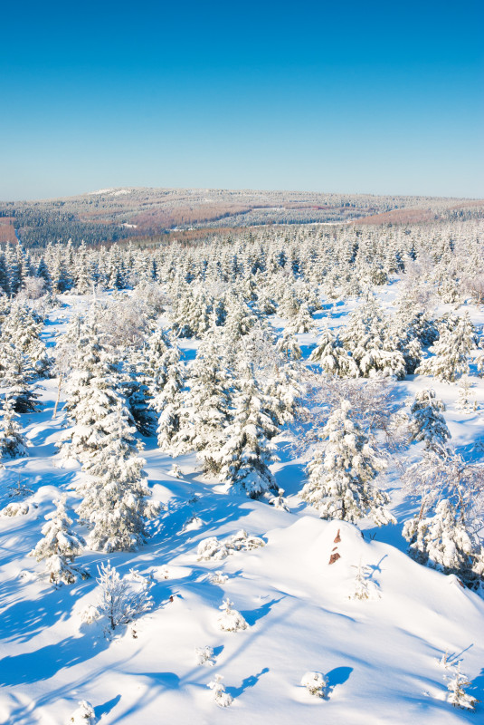 Na Skále, Blick Richtung Kahleberg