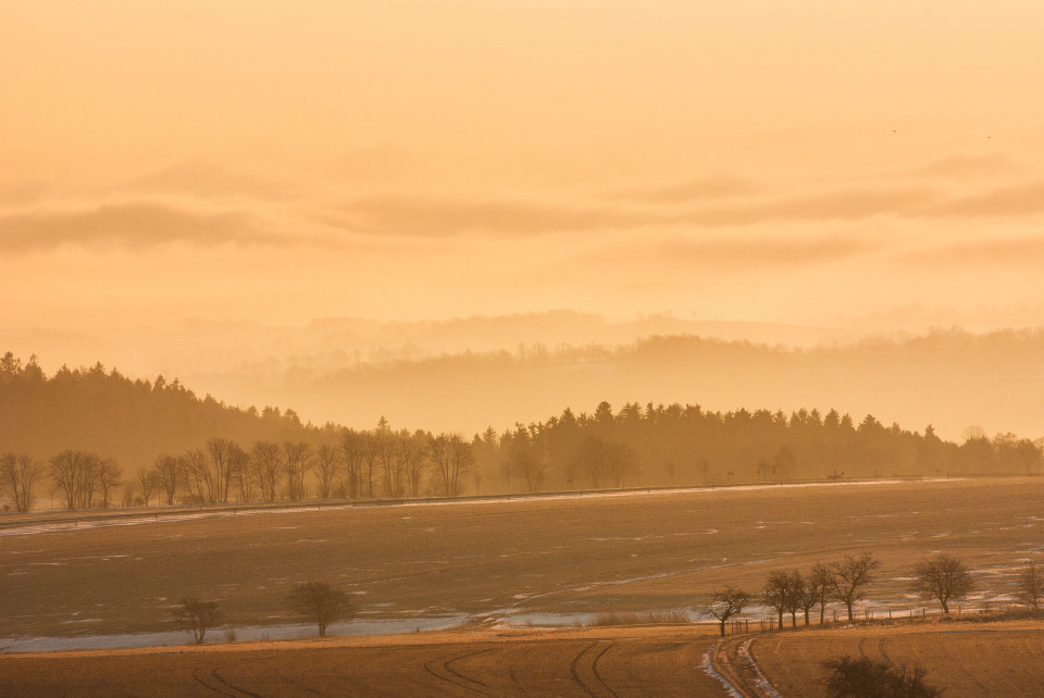 Sonnenaufgang mit Frühnebel am Luchberg