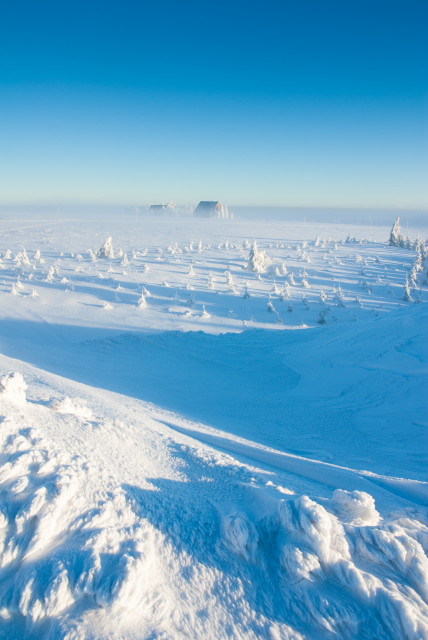 Wintermorgen, Cínovec