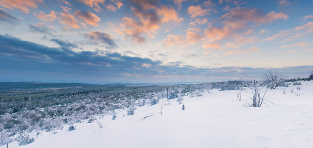 Wintermorgen auf dem Kahleberg