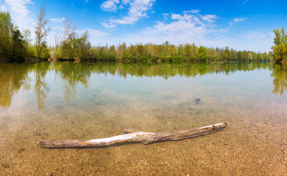 Baggersee bei Au am Rhein