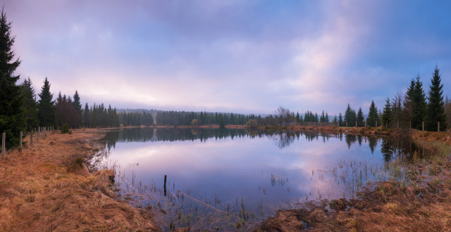 Wüster Teich