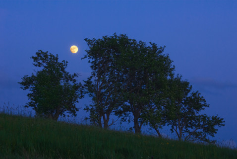 Blaue Stunde bei Börnchen