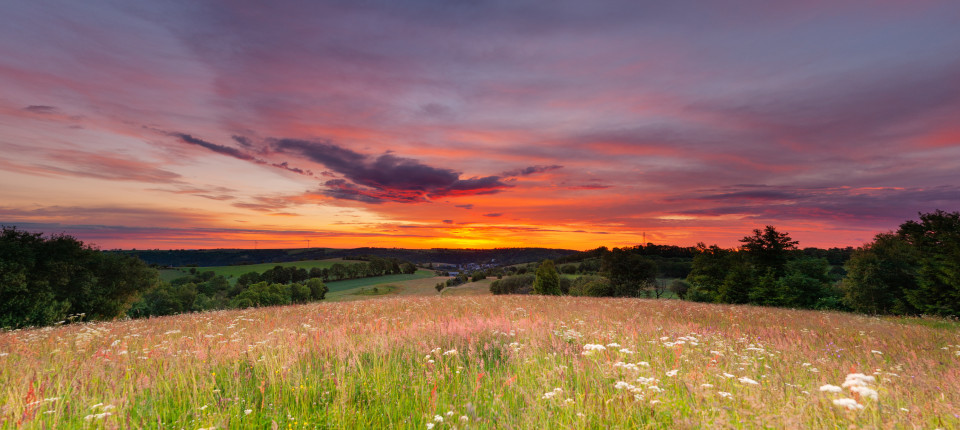 Kurz vor Sonnenaufgang bei Bärenstein (Osterzgebirge)