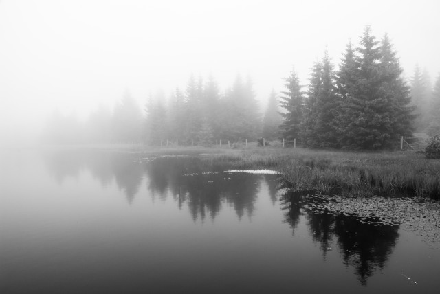 Am Wüsten Teich