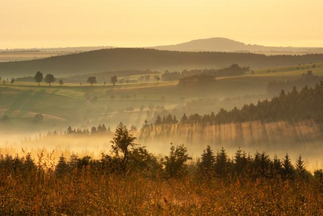 Morgenstimmung bei Zinnwald