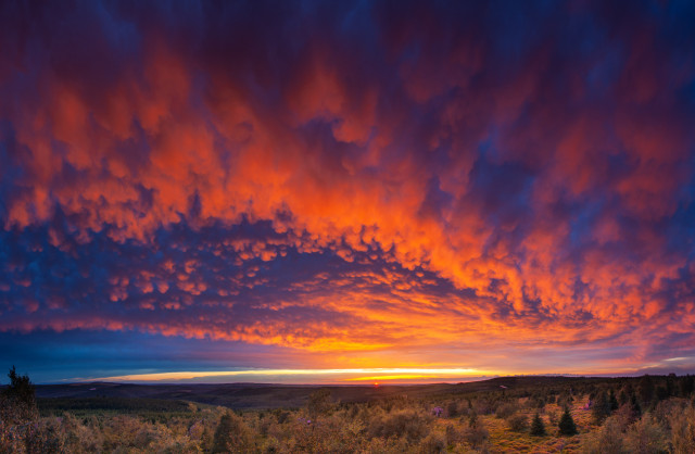 Mammaten im Sonnenuntergang am Großen Lugstein