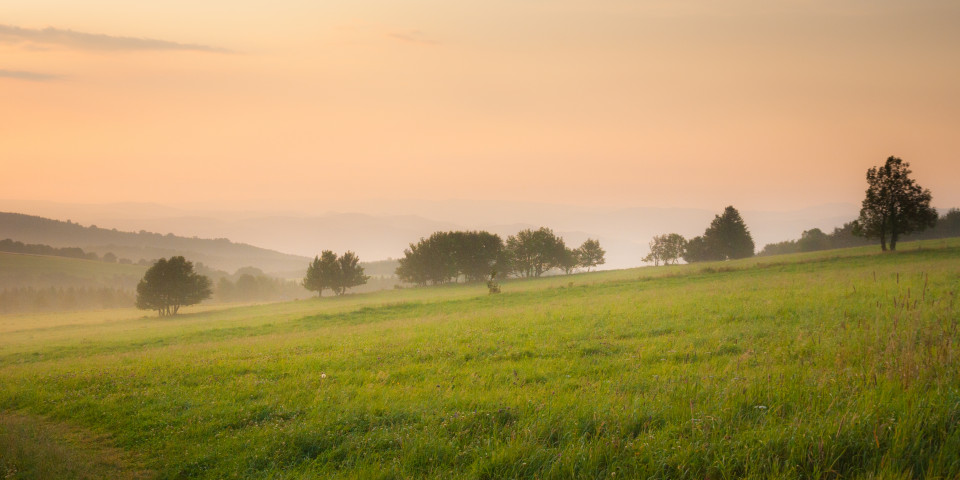 Morgenstimmung am Mückenberg (Komáří hůrka)