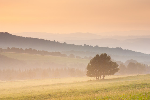 Morgenstimmung am Mückenberg (Komáří hůrka)