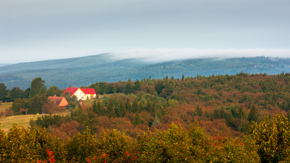 Nebel über dem Erzgebirgskamm