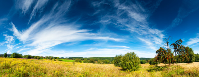 Sommertag bei Altenberg