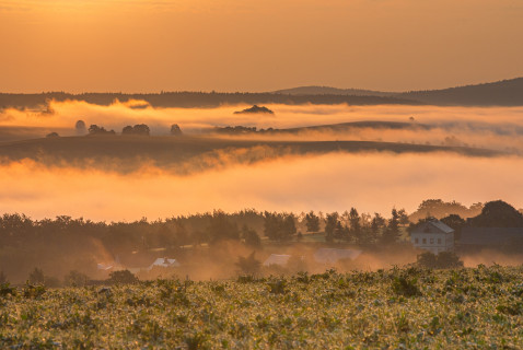 Hohburkersdorfer Rundblick, morgens über dem Nebel