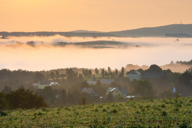 Hohburkersdorfer Rundblick, morgens über dem Nebel