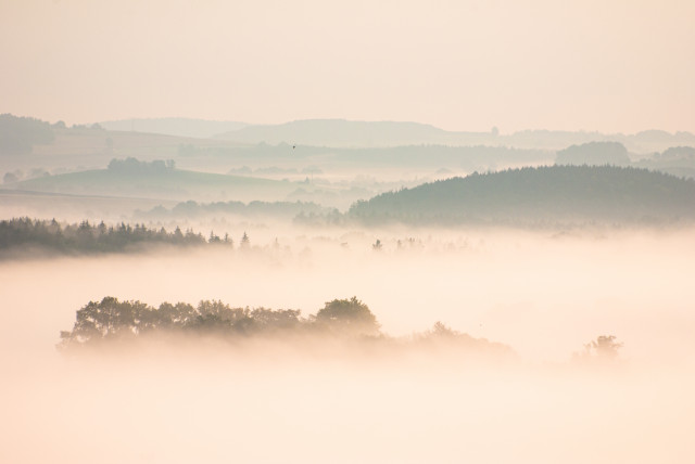Hohburkersdorfer Rundblick, morgens über dem Nebel