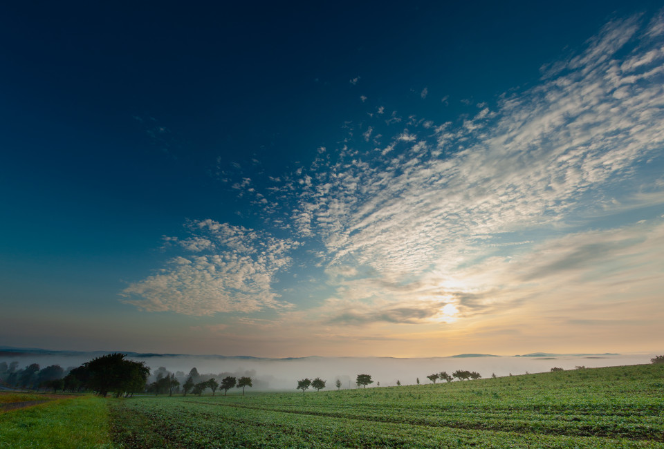 Morgenstimmung, Hohburkersdorfer Rundblick