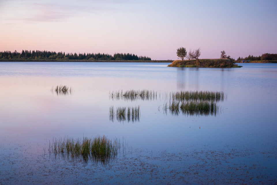 Sommerabend am Großen Galgenteich