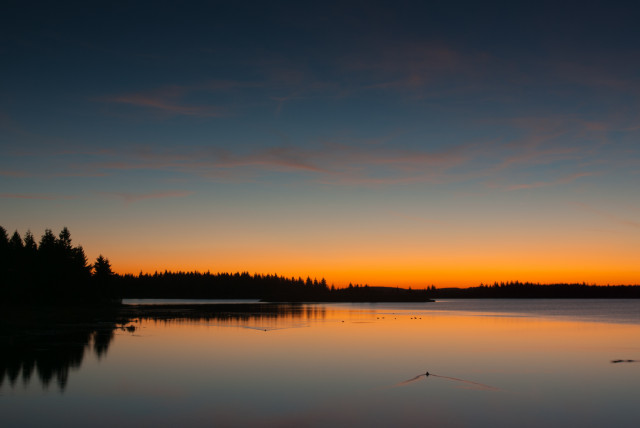 Sommerabend am Großen Galgenteich