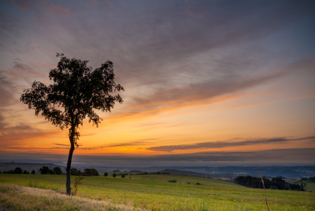 Morgenstimmung bei Possendorf