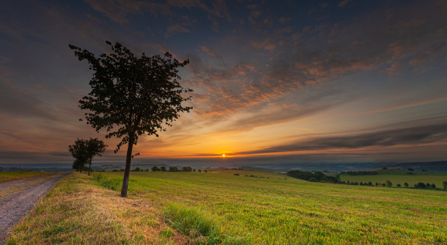 Morgenstimmung bei Possendorf