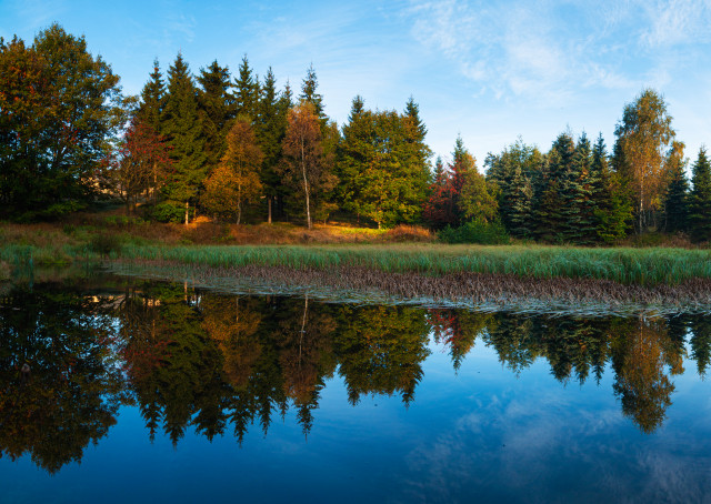 Teich bei Dlouhá Louka