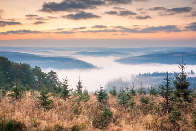 Nebel über der Talsperre Fláje