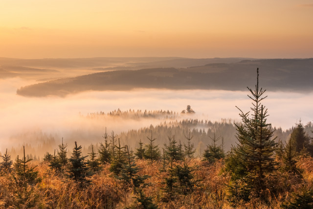 Nebel über der Talsperre Fláje