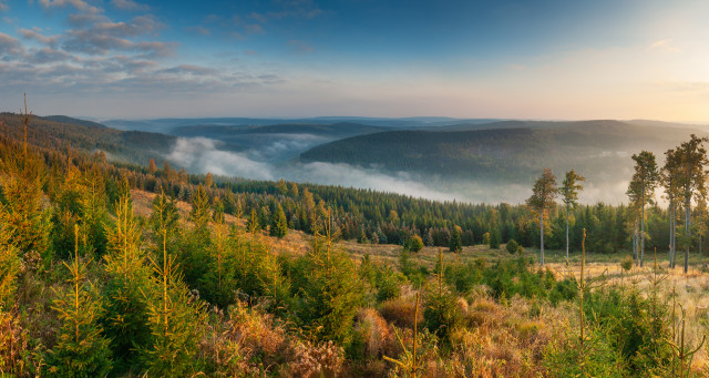 Oberes Flöhatal, Blick Richtung Český Jiřetín