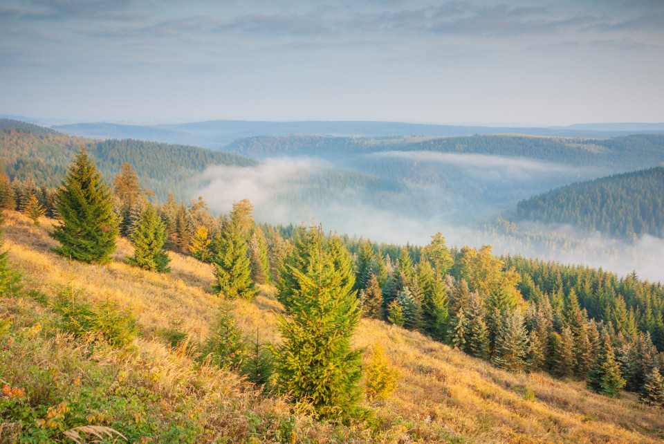 Oberes Flöhatal, Blick Richtung Český Jiřetín