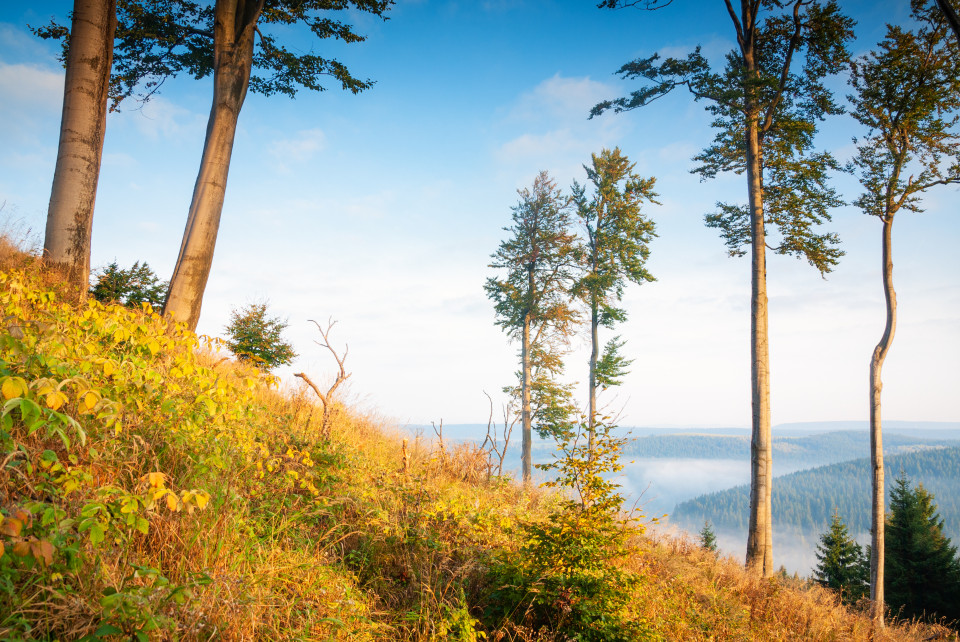 Oberhalb der Talsperre Fláje