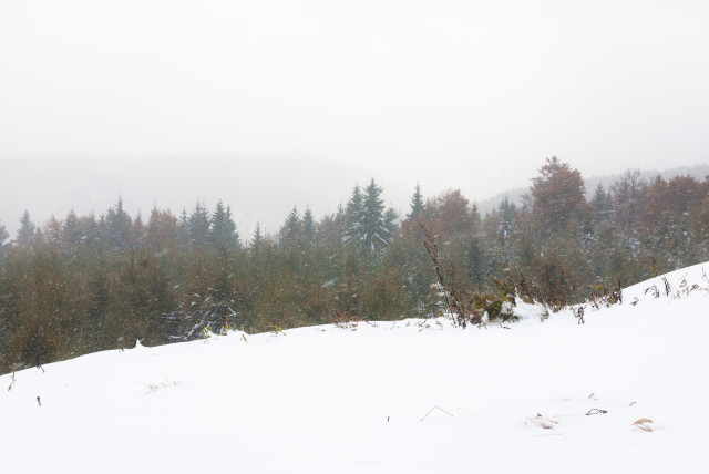 Herbstschnee auf dem Erzgebirgskamm