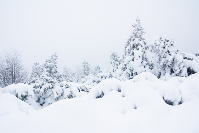 Winter auf dem Kahleberg