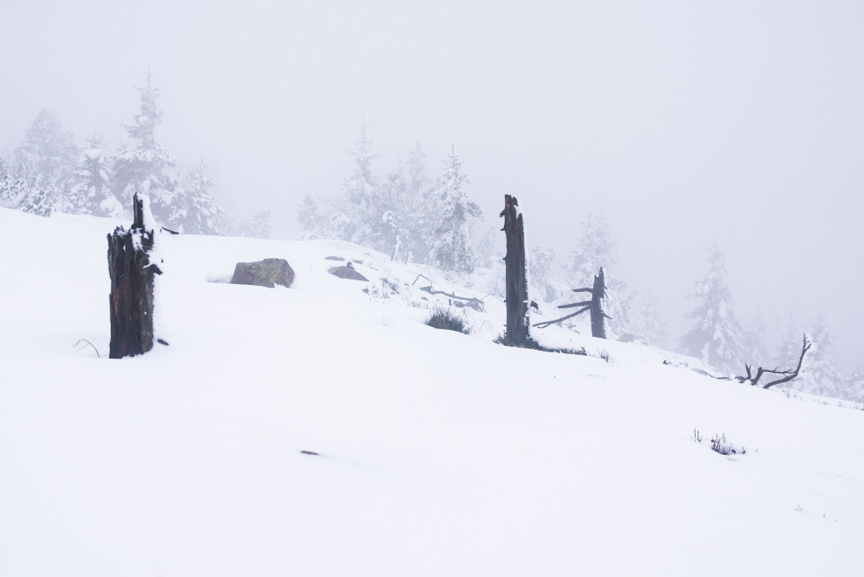 Winter auf dem Kahleberg