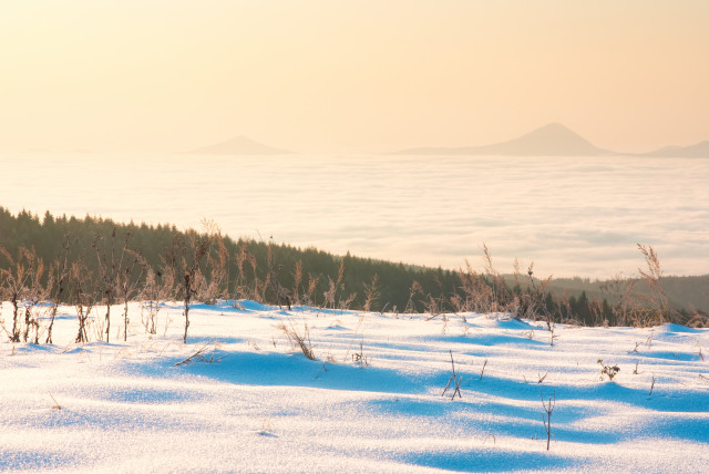 Erster Schnee bei Cínovec