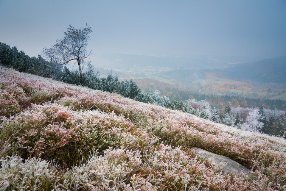 Jedlová unter Hochnebel