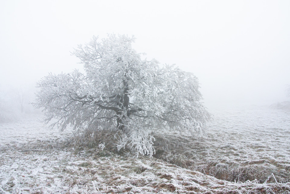 Böhmischer Wind mit gefrierendem Nebel, Zinnwald-Georgenfeld