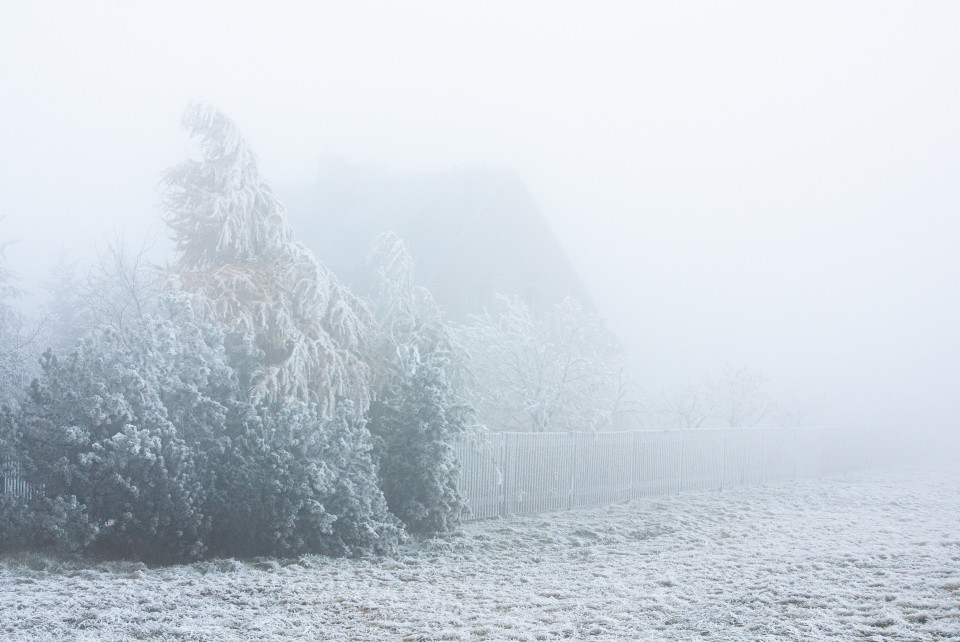 Böhmischer Wind mit gefrierendem Nebel, Zinnwald-Georgenfeld