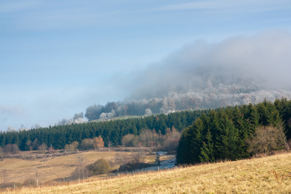 Böhmischer Nebel über dem Geisingberg