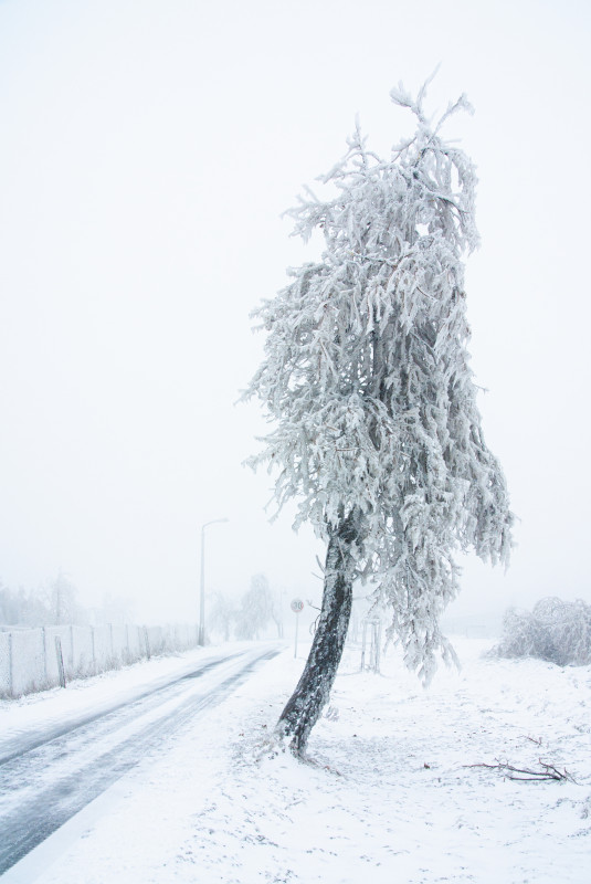 Zinnwald-Georgenfeld nach Eisregen