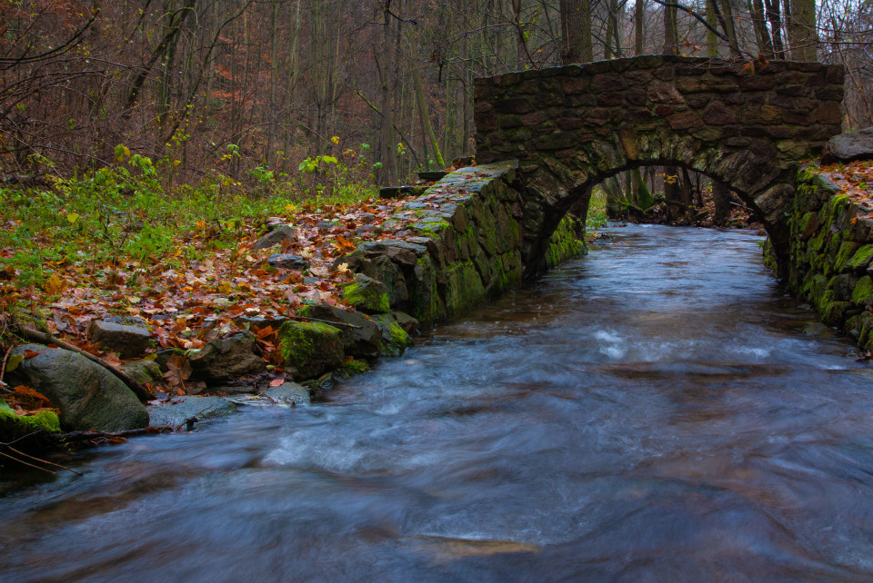 Alte Steinbrücke, Trebnitzgrund