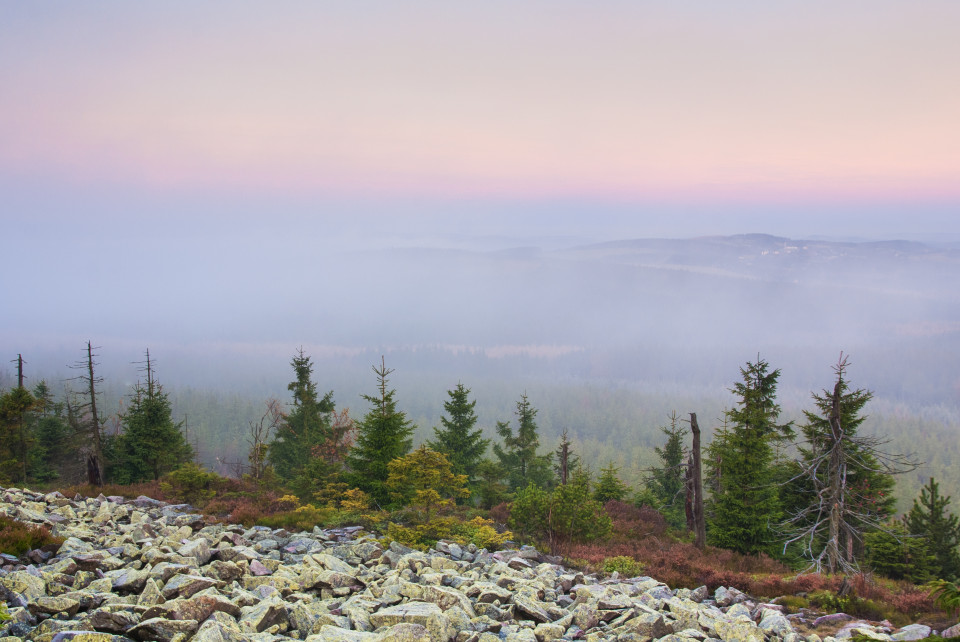 Morgenstimmung mit böhmischem Nebel auf dem Kahleberg