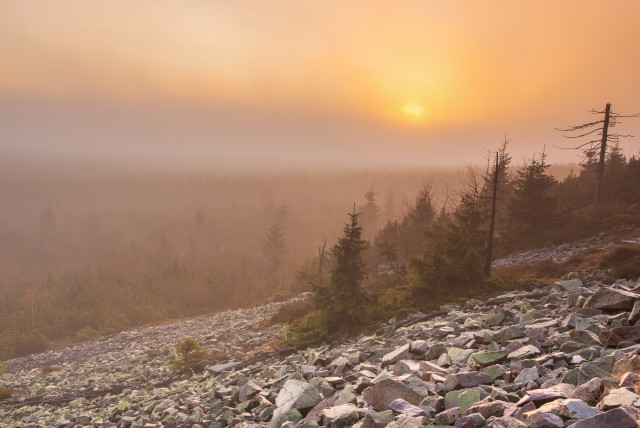 Sonnenaufgang mit böhmischem Nebel auf dem Kahleberg