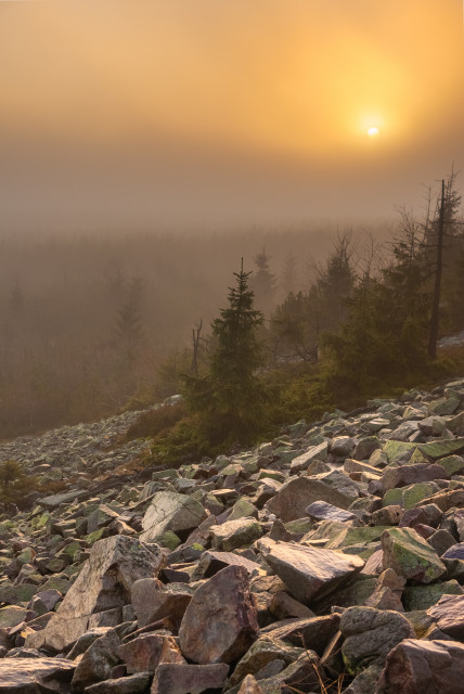 Sonnenaufgang mit böhmischem Nebel auf dem Kahleberg