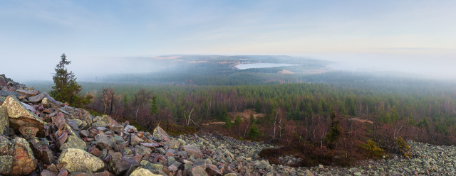 Böhmischer Wind: Nebel umfließt den Kahleberg