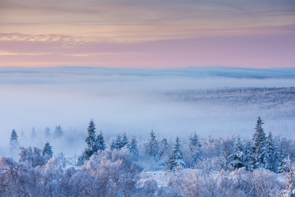 Wintermorgen am Kleinen Lugstein