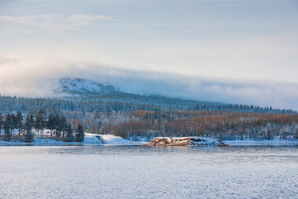 Böhmischer Nebel am Kahleberg