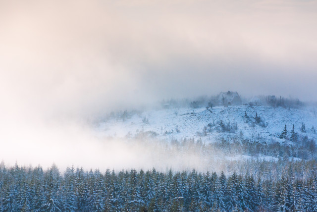 Böhmischer Nebel am Kahleberg