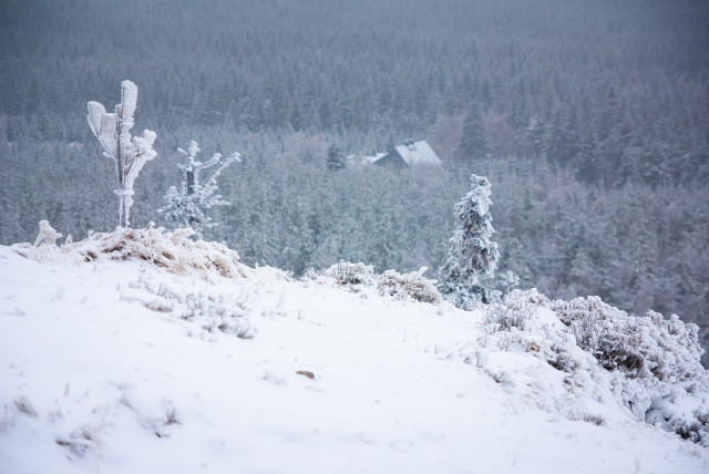 Winter auf dem Kahleberg