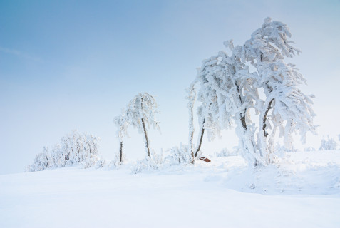 Winterlandschaft bei Fürstenau